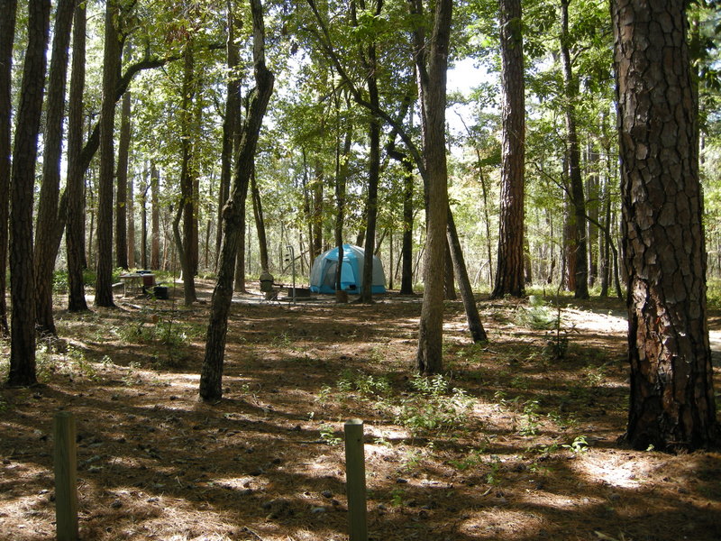 Goose creek trail camp hotsell